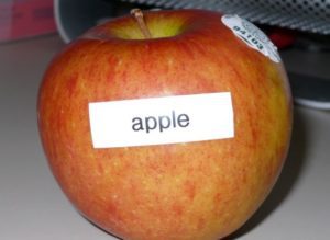 Why food labels might be wrong about calories