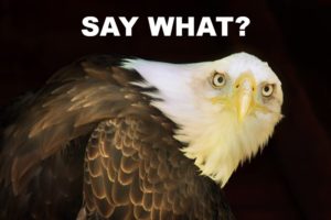 Thirteen Facts About America Conservatives Would Like You to Forget
