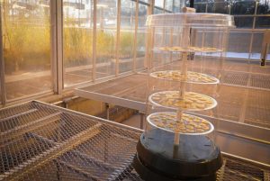 A Sunny Solution to the Problem of Food Waste