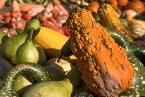 Can This Petition Convince Walmart to Stop Trashing Imperfect Produce?