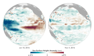 Weak La Niña follows potent El Niño