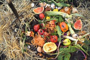 How to Fight Food Waste With Food Waste