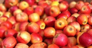 How smart SMEs are making money from food waste