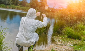 To My Fellow Climate Scientists: Be Human, Be Brave, Tell the Truth by Peter Kalmus — YES! Magazine