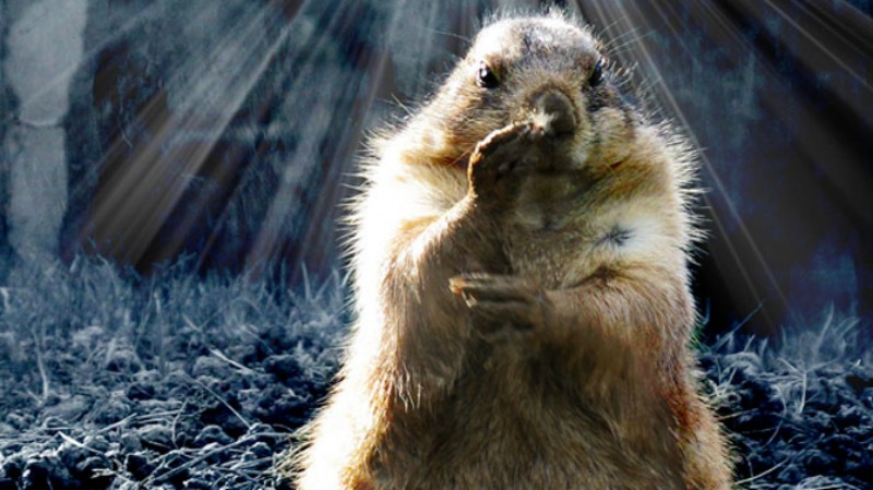 Groundhog Day has roots in astronomy