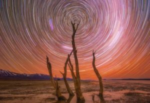 Circumpolar stars never rise or set