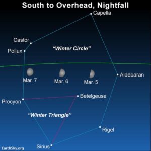 Moon and Winter Circle next few evenings