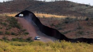 Experts warn 800 species, many endangered, affected by border wall