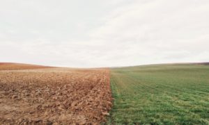 The Key to Feeding the World? It’s Healthy Soil by David R. Montgomery — YES! Magazine