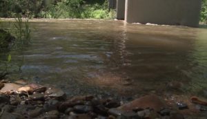 Report: Shenandoah River polluted with unsafe levels of E. coli