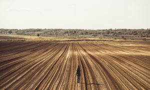 We Will Soon Be Using More Than The Earth Can Provide by David Korten — YES! Magazine
