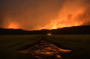 The unprecedented drought that’s crippling Montana and North Dakota | Environment | The Guardian