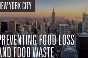 Join us online or in person to stop food waste!