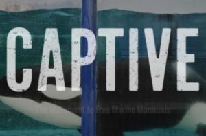 Captive: The Movement to Free Marine Mammals