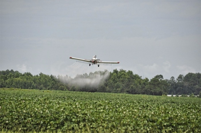 Protect Our Children: Toxic Pesticides Have No Place in a Just Food System