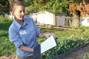 Saving seeds to build bonds in our community