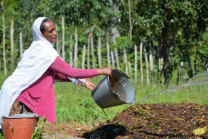 Fair Trade is the Pathway to Regenerative Agriculture