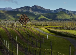 Video – Studio Dror’s volumetric sculpture epitomizes Brancott Estate’s artful winemaking