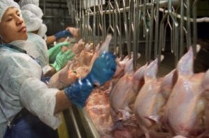 Nat’l Chicken Council Wants to Increase Poultry Slaughterhouse Speeds; Comment Period Open