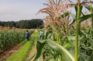 Eve Kaplan-Walbrecht Talks About How to Keep Local Farmers Farming
