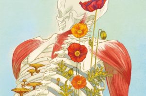 4 Ways to Give Your Body Back to Nature After You Die