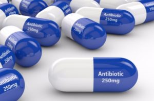 4 Important Facts You Need to Know About Antibiotics
