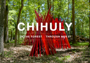 Chihuly at Crystal Bridges Museum of American Art