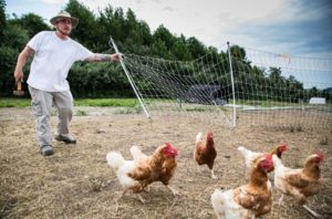 The Hopeful Work of Turning Appalachia’s Mountaintop Coal Mines Into Farms