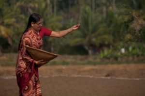 Fair Trade As We Do It: the Story of Jumbo Nuts