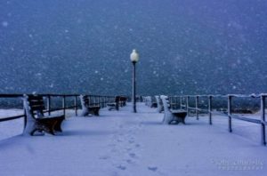 How can you know what to believe? | Earth | EarthSky