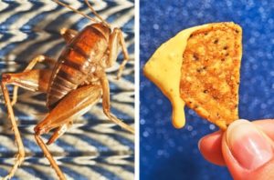 Menu of the Future: Insects, Weeds, and Bleeding Veggie Burgers
