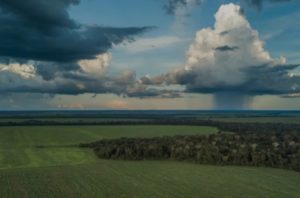 Tropical Forests Are Flipping From Storing Carbon to Releasing It