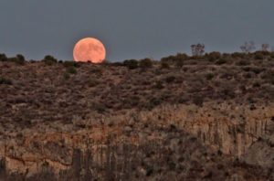 Full Harvest Moon September 24-25