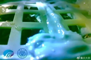 Plants sprout – and die – on moon