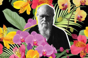 How a Love of Flowers Helped Charles Darwin Validate Natural Selection