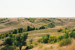 A Growing Number of Ranchers are Turning to Sustainable Grazing
