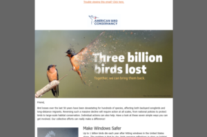 Three billion birds lost