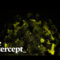 Coronavirus Capitalism — and How to Beat It