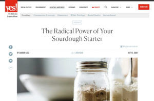 The Radical Power of Your Sourdough Starter