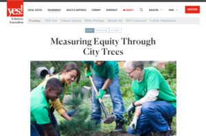 Measuring Equity Through City Trees