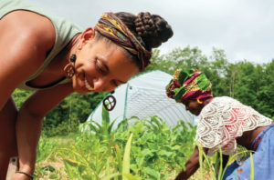 The Gift of Ecological Humility