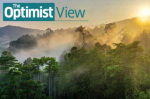 5 ways to save rainforests and the world every day | The Optimist Daily