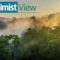 5 ways to save rainforests and the world every day | The Optimist Daily
