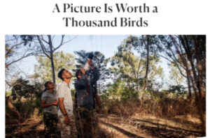 A Picture Is Worth a Thousand Birds