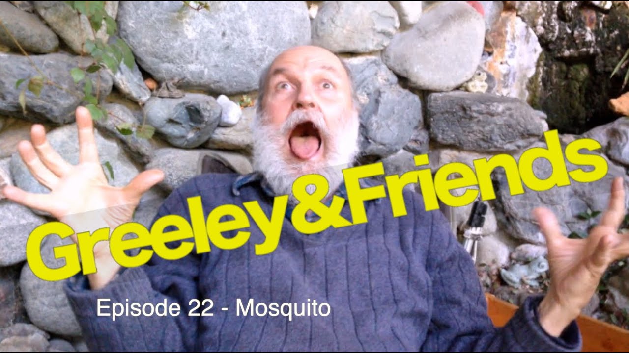 Episode 22 – Mosquito