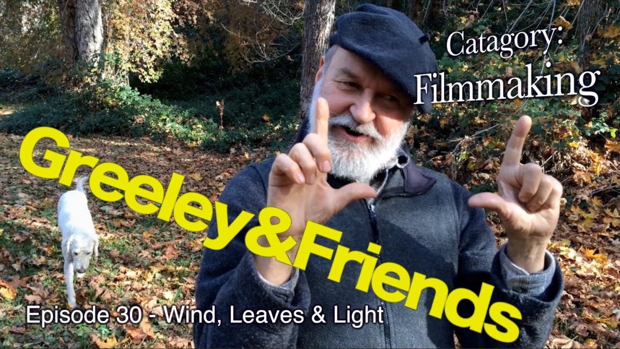 Episode 30 – Wind, Leaves & Light