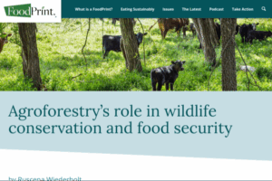 Agroforestry’s role in wildlife conservation and food security – FoodPrint