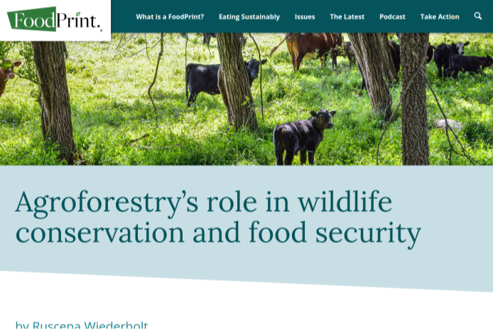 Agroforestry’s role in wildlife conservation and food security – FoodPrint