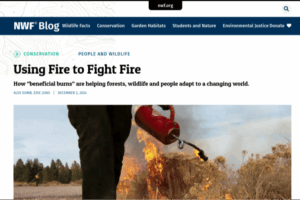 Using Fire to Fight Fire – The National Wildlife Federation Blog