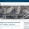 Five Insights on the Concrete and Cement Industry’s Transition to Net Zero – RMI